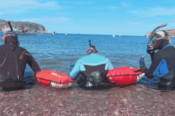 Ils ont fait le tour de l’île aux Marins à la nage en moins de deux heures
