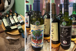 Le vin d’açaï, boisson officielle de la COP 30 à Belém