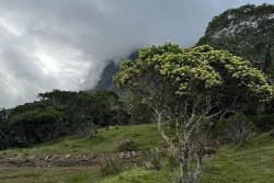 La Réunion : un temps maussade ce matin, moins humide cet après-midi