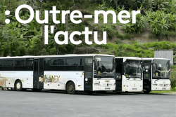 Mayotte : les chauffeurs de bus inquiets pour leur sécurité