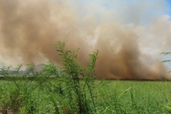 Kourou : incendie sur la route de l’espace