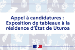 Appel à candidatures : exposition de tableaux à la résidence d’Etat de Uturoa