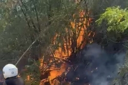 Feu de végétation à Tsoundzou 2 : Attention circulation perturbée