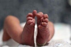 Des aliments "Blédina" pour bébés contenant des aflatoxines, retirés de la vente