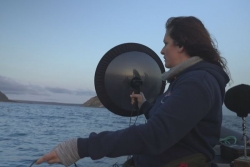 Phone Sauvage : scientifiques et artistes à l'écoute de l'océan