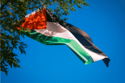 VIDÉO. Reconnaissance de l'État de Palestine : des réactions partagées en Nouvelle-Calédonie