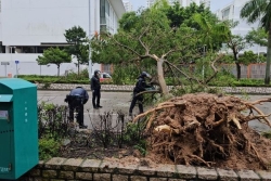 Le typhon Ragasa s'abat sur le sud de la Chine, après avoir fait 14 morts à Taïwan