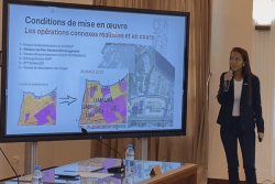 Les projets d'aménagement du futur centre-ville de Pirae dévoilés