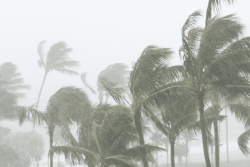 Tahiti et Moorea en vigilance orange pour fortes pluies 