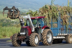 Fin de la grève à l'usine de Bois Rouge : "Pas de 14ème mois, mais des avancées", se réjouissent les salariés