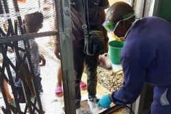 En Haïti, la propagation du choléra mobilise autorités et habitants à l'approche de la rentrée scolaire