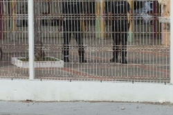 Établissements scolaires de Guadeloupe sous surveillance renforcée après l’agression d’un lycéen au Moule