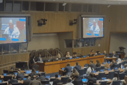 4ème commission de l'ONU : deux visions du futur de la Polynésie