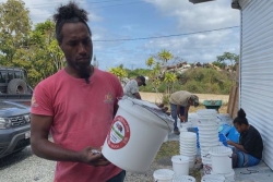 À Lifou, la lutte contre le scarabée rhinocéros s'organise