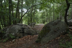 Meurtre d'un Mahorais en région parisienne : l'autopsie du corps retrouvé en forêt confirme qu'il a été tué par balles