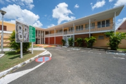 Santé mentale en Guadeloupe : profils, pathologies... décryptage des données de la psychiatrie publique