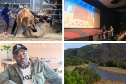 L’agenda sorties du 10 au 16 octobre 2025 : Fête du bœuf, Première séance, festival Shaxhabign et anniversaire de Kouaoua