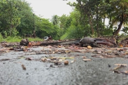 Tempête Jerry : un disparu, écoles fermées. La Guadeloupe sous les eaux et les vents. (Outre-mer l'Actu du 10 octobre)