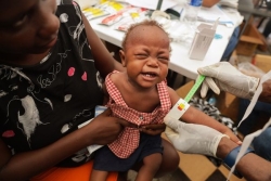 Haïti : la malnutrition pourrait bientôt toucher près de 6 millions de personnes