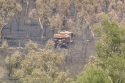 Païta : 400 hectares détruits, le feu de Bangou maîtrisé, les pompiers toujours sur le pont