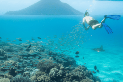 Lancement d'un nouveau site internet dédié uniquement au tourisme en outremer