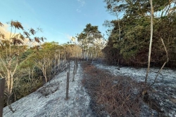 Il fait cuire son uru et déclenche un feu de brousse à Toahotu