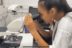 La Fête de la Science éveille la curiosité des élèves polynésiens