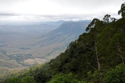 La forêt tropicale est gravement menacée en Papouasie-Nouvelle-Guinée, alerte un rapport
