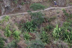 Grand Raid 2025 : "les sentiers sont prêts" avant le début des courses, malgré de lourds impacts laissés par le cyclone Garance