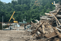 Petit-Saut : Triton lance l’exploitation des bois immergés