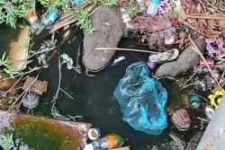 Mama Natura sonne l'alarme : les déchets s'accumulent « plus vite que les décisions » en Polynésie