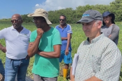 Pertes agricoles après Jerry : la DAAF sur le terrain pour constater les dégâts