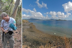 Les Naturalistes dératisent les îlots Hajangoua, un coup d'essai avant le chantier de la réserve de Mbouzi