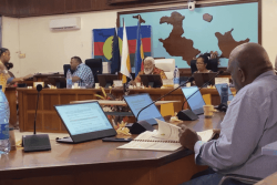 La province des Îles adopte son budget supplémentaire à l’unanimité avec une dette de plus de 6,5 milliards de francs