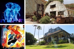 L’agenda sorties du 17 au 23 octobre 2025 : cirque de Samoa, Première séance, patrimoine
