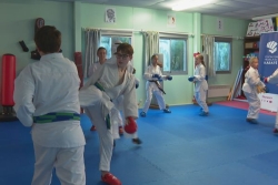 Karaté : un déplacement à double enjeu pour le club de Saint-Pierre et Miquelon