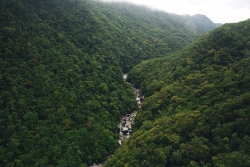 Climat : les forêts tropicales d'Australie ne sont plus un puits de carbone mais émettent du CO2
