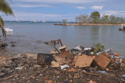 Bord de mer du parc Vairai pollué : un "spectacle" qui ne fait réagir que des associations écologiques