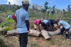 Les agriculteurs du Sud de Mayotte mobilisés pour rétablir l’accès à leurs champs