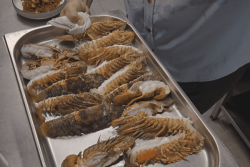 Du producteur à l’assiette : de moins en moins de produits locaux