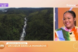 Nouvelle-Calédonie : à la découverte du célèbre cœur de Voh