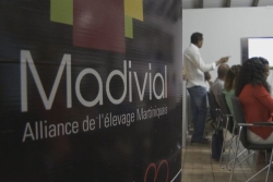 Enquête : La justice s'intéresse à un potentiel détournement de fonds de la coopérative Madivial
