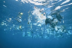 En surface ou dans les abysses, un océan de plastique de l'Atlantique à l'Antarctique en passant par le Pacifique