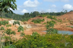Orpaillage : la réforme du code minier cristallise les débats entre les opérateurs guyanais et les écologistes