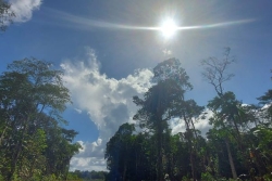 VIDÉO. Météo : fortes chaleurs, 2025 est-elle une année exceptionnelle ?