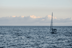 Un capitaine guadeloupéen porté disparu au large de Deshaies lors d'un trajet vers la Dominique