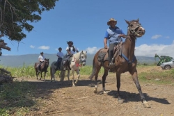 10ème Grande Chevauchée : 70 chevaux et leurs cavaliers pour une randonnée géante entre Sainte-Anne et Saint-Denis, le temps d'un week-end