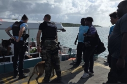 Opération de contrôle terrestre et maritime à Marie-Galante : cannabis, cigarettes et tabac saisis par les autorités
