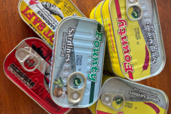La revanche de la sardine : d’aliment populaire à produit prisé en Guyane