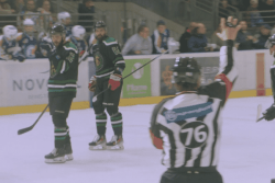 Fin de l'aventure pour les Cougars qui s'inclinent face aux Phénix en 16es de finale de Coupe de France